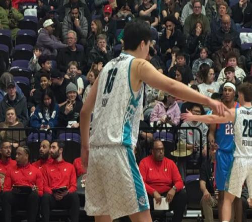 年山东考古,盛宴,从旧石器时,太阳城,太阳城娱乐,太阳城app,太阳城赌场