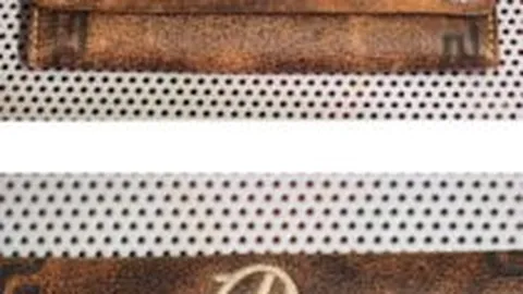 指尖钓鱼，鱼获瞬间引爆眼球 | 太阳城